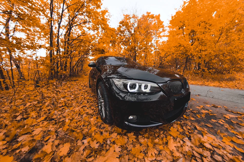 Autumn car