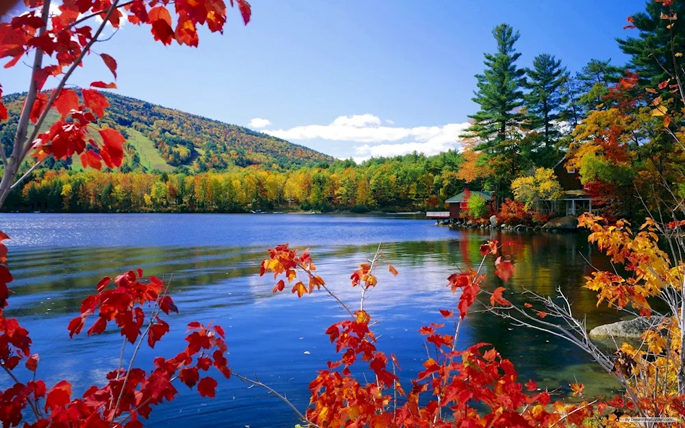 Autumn nature
