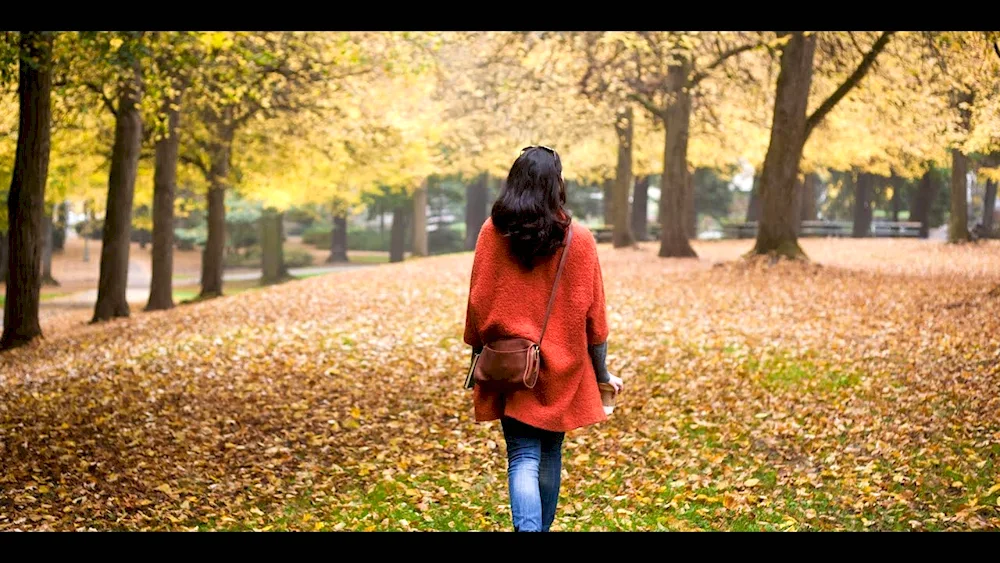 Autumn walk