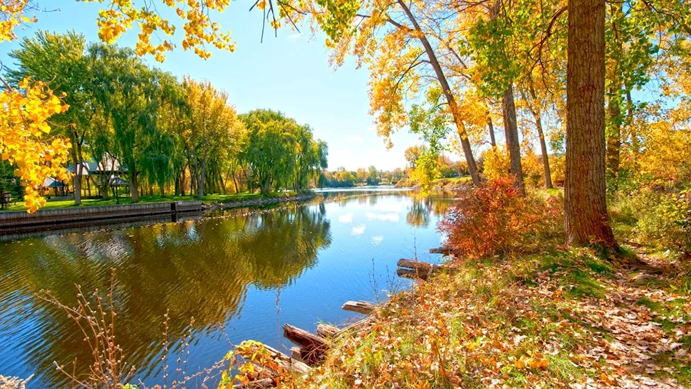 Autumn background