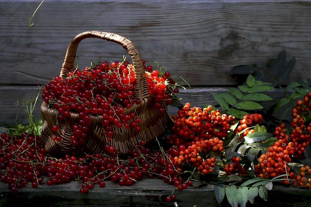 Anna Taleeva Anna's painting autumn still life