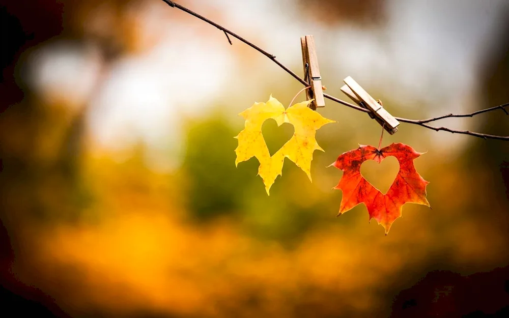 Autumn leaves romance