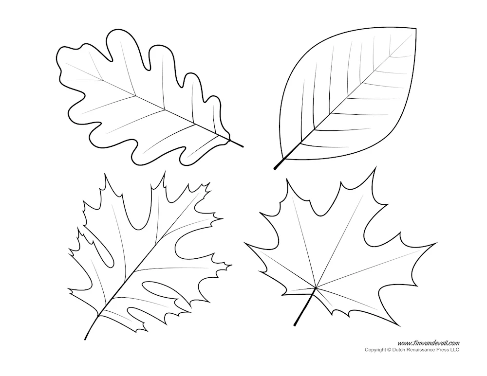 Autumn leaves colouring for kids