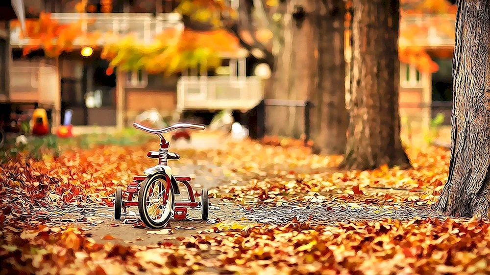 Autumn leaves in the park