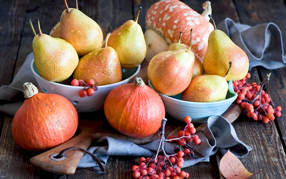 Beautiful still life with fruit