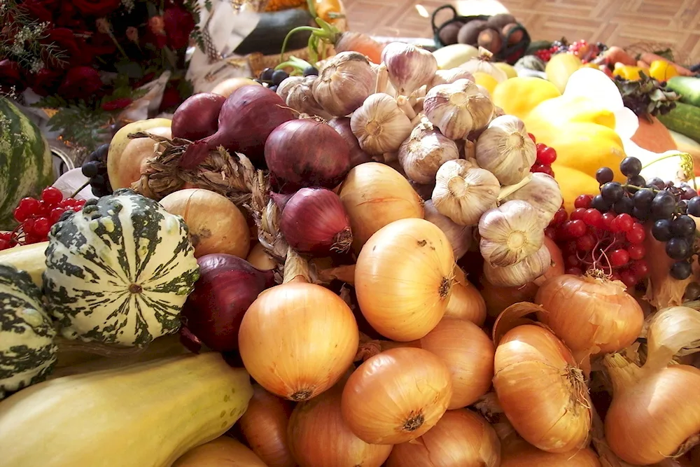 Fresh fruits and vegetables