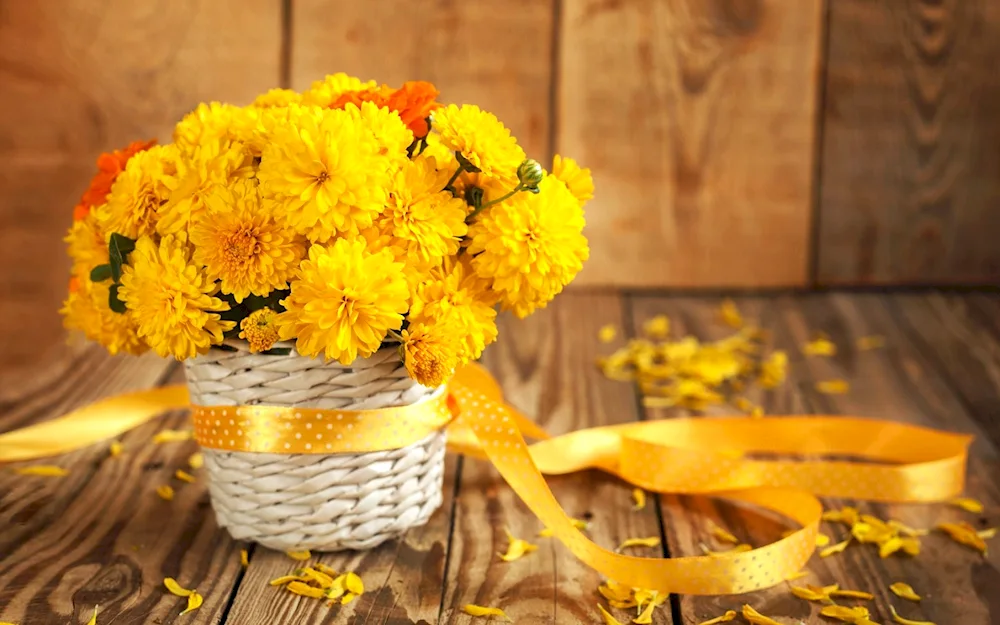 Autumn bouquet of aster dahlias