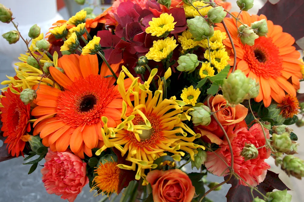 Autumn flowers