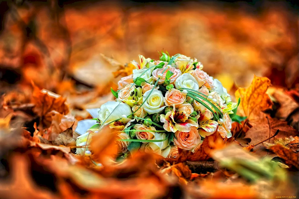 Autumn bouquet
