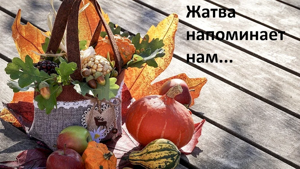 Autumn harvest