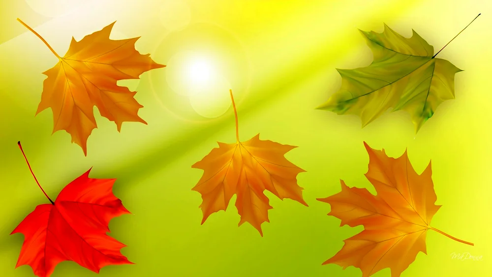 Autumn background