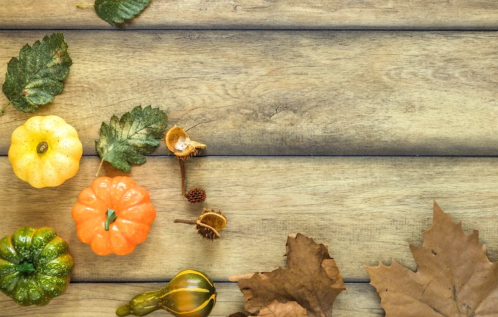 Autumn decor
