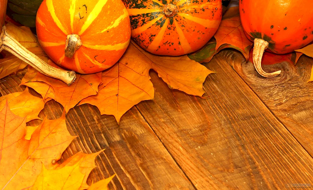 Autumn background