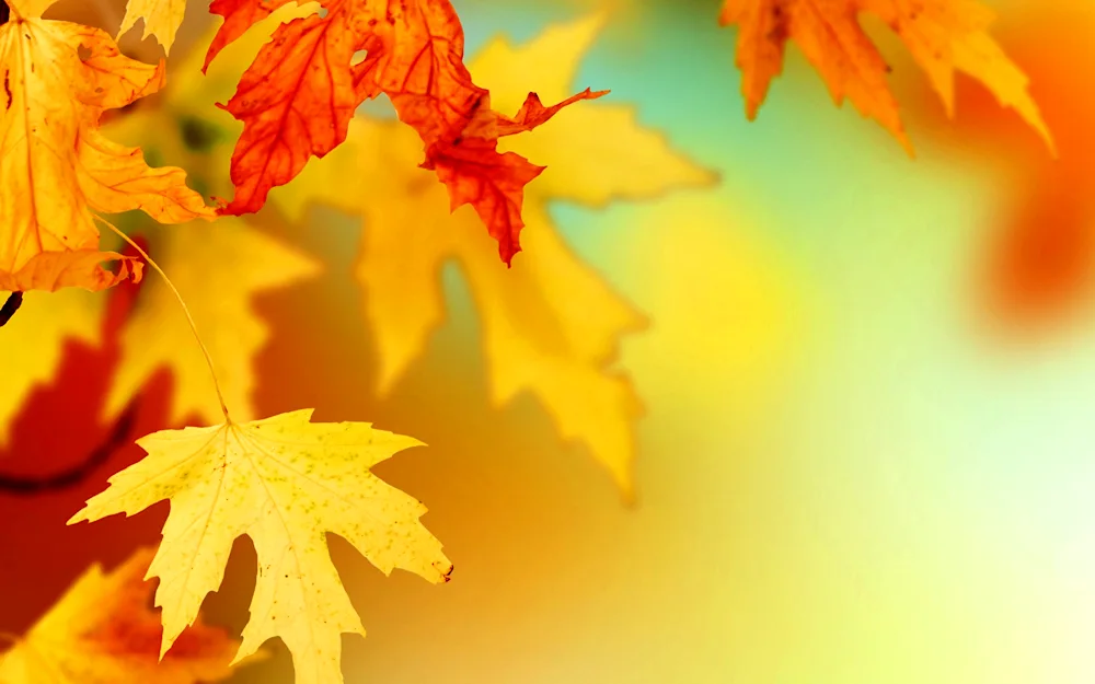 Autumn background