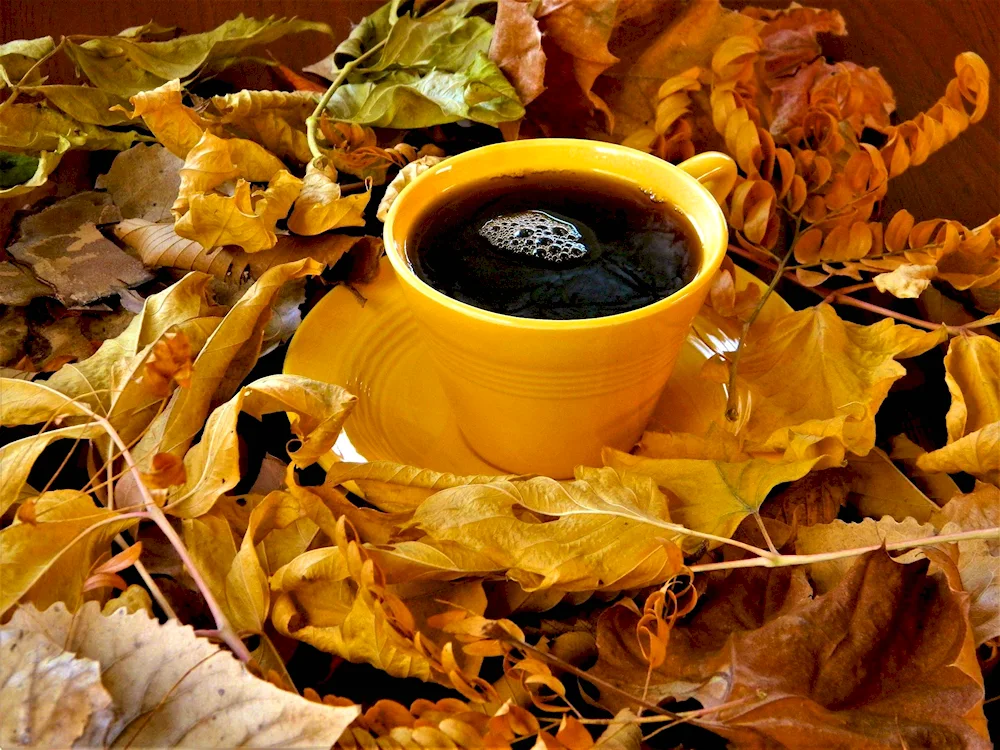 Autumn coffee coffee