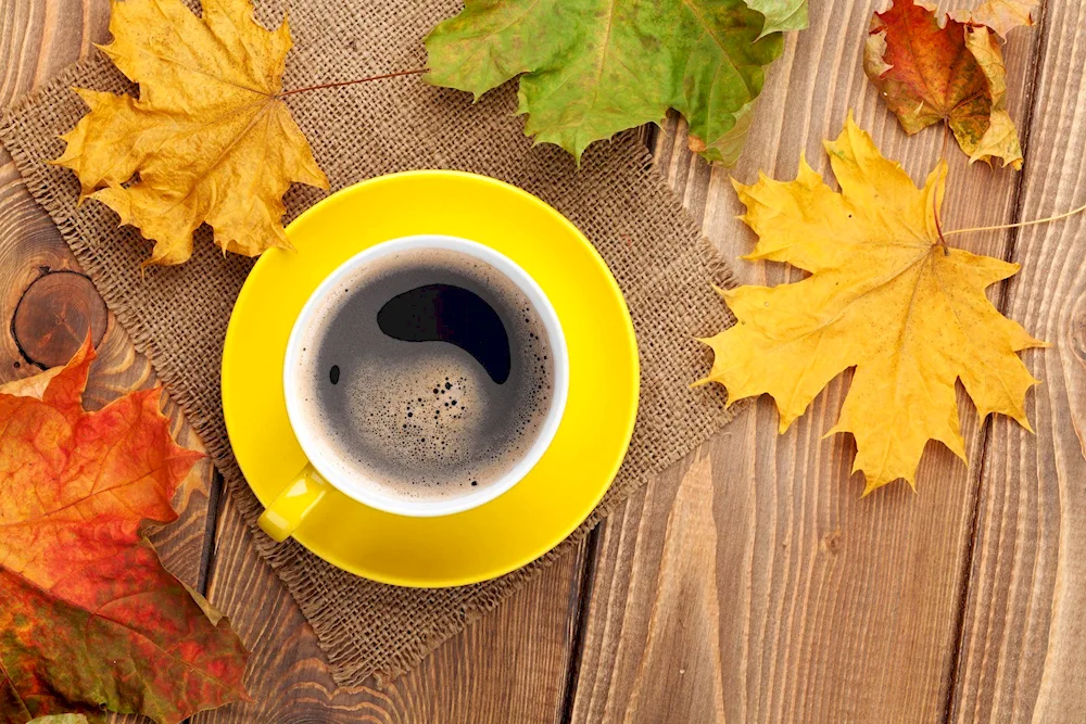 Autumn coffee