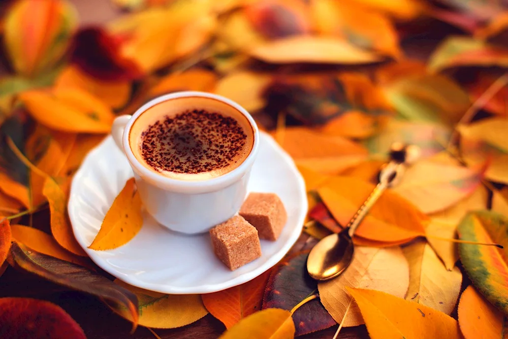 Autumn coffee