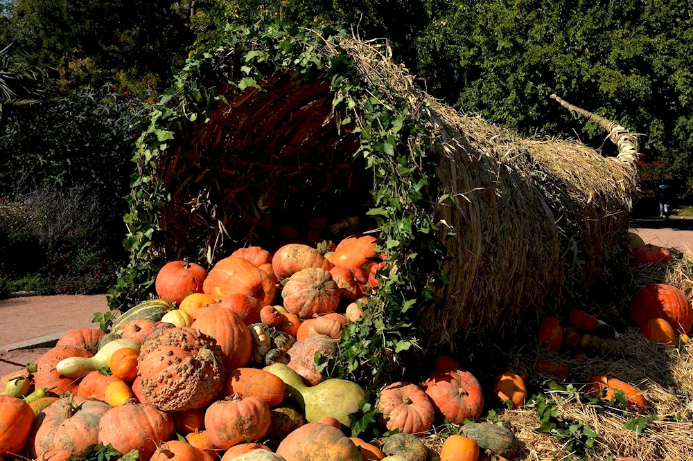 Autumn vegetable garden