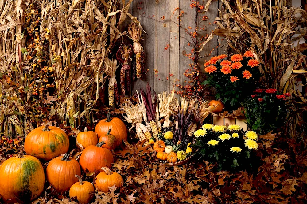 Pumpkin cart