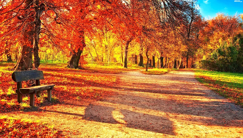 Autumn