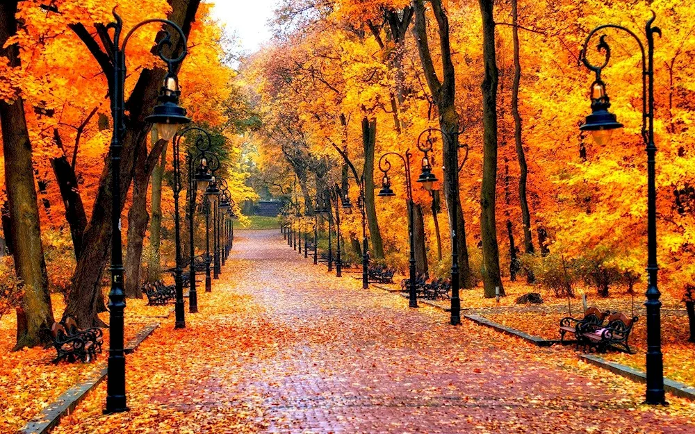 Autumn Park