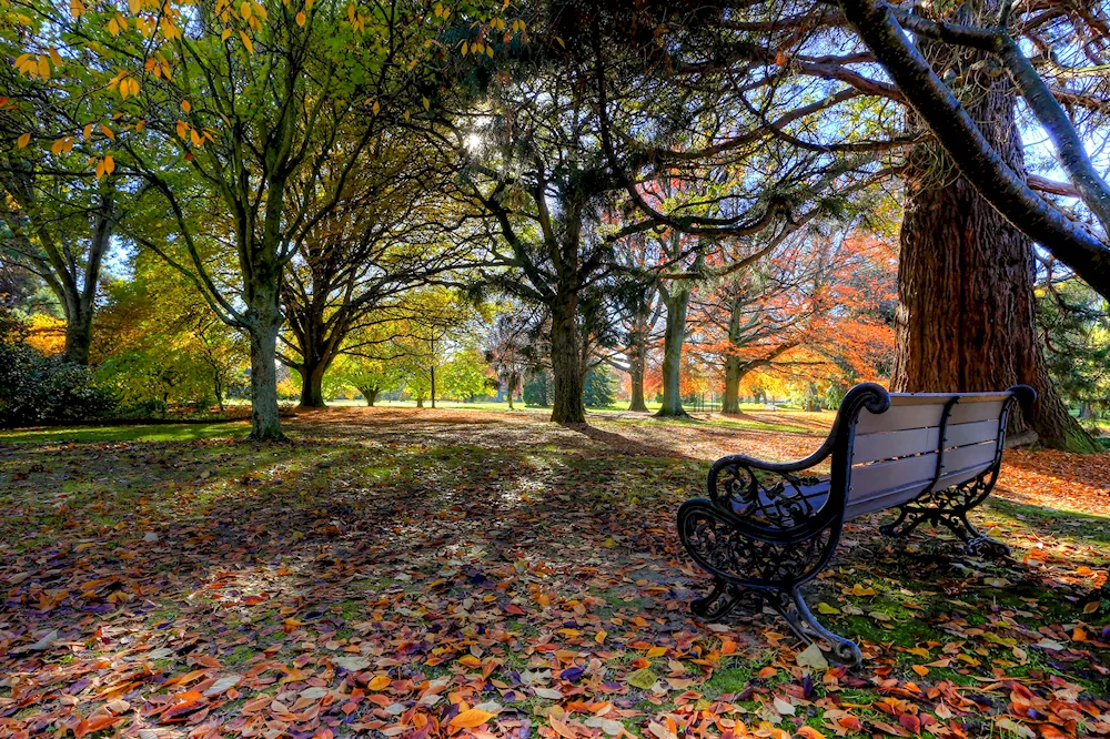 Autumn Park