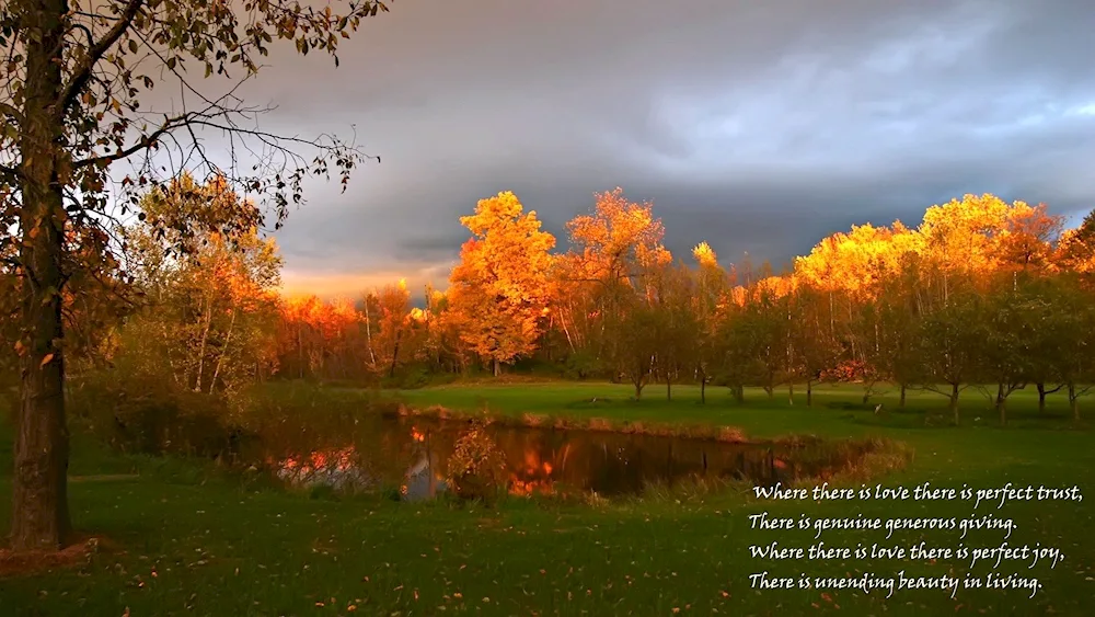 Autumn landscape