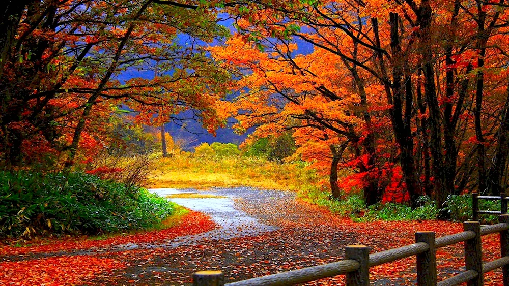 Autumn landscape