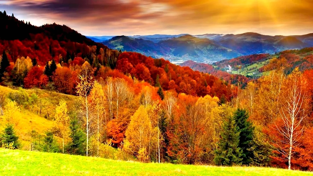 Autumn landscape