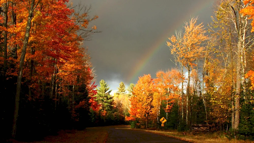 Autumn in the city