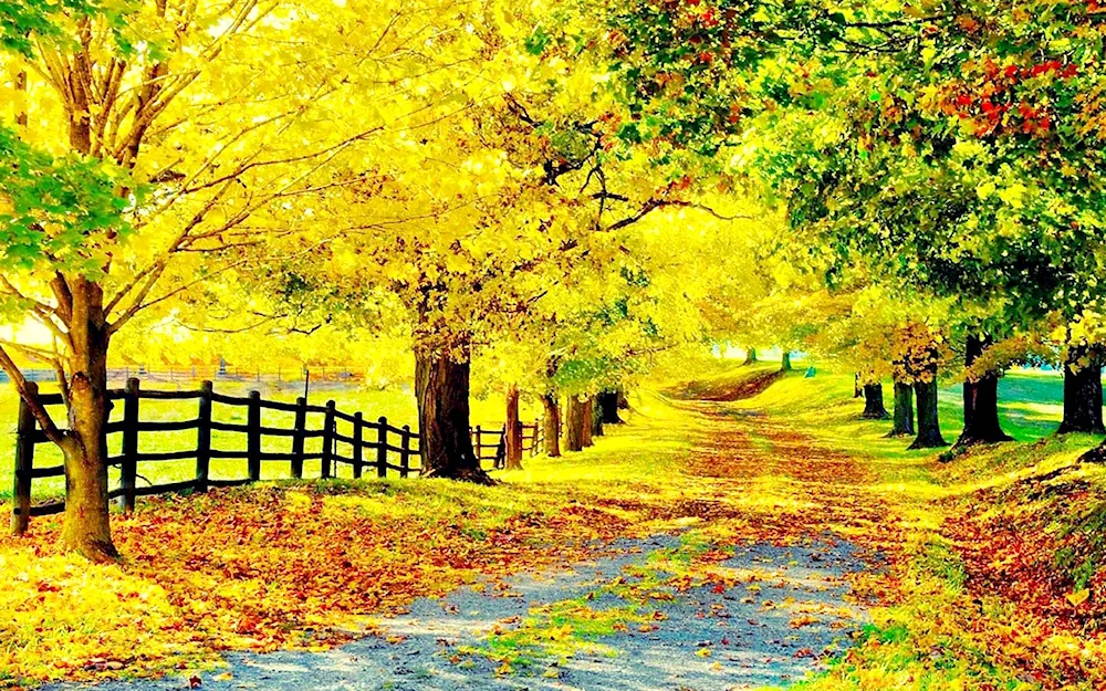 Beautiful Autumn