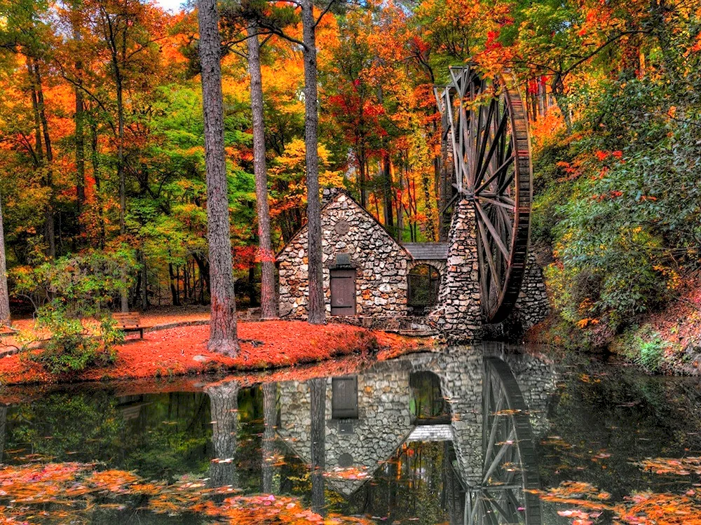 Autumn nature