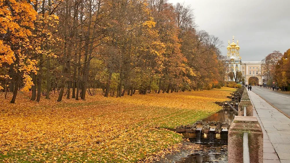 Autumn Pushkin Tsarskoye Selo