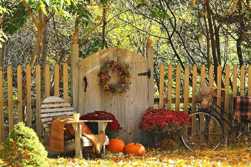 Pumpkin cart