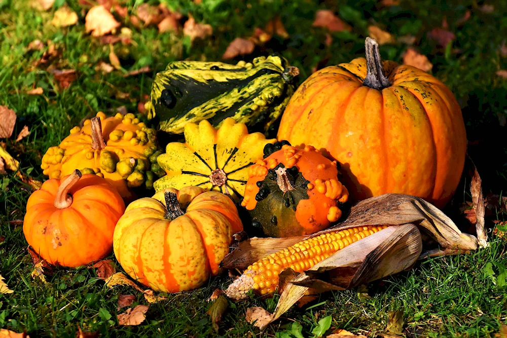 Autumn background