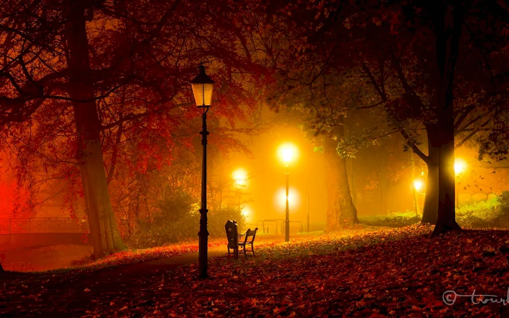 Autumn evening