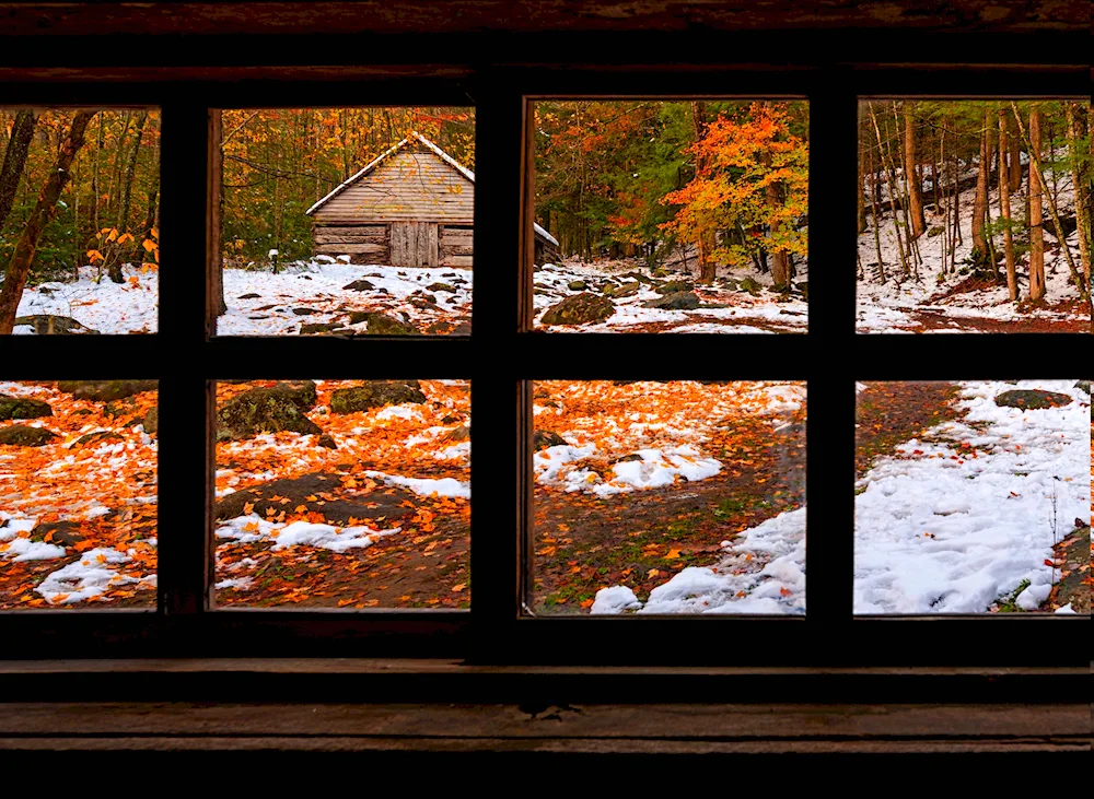 Autumn at the window