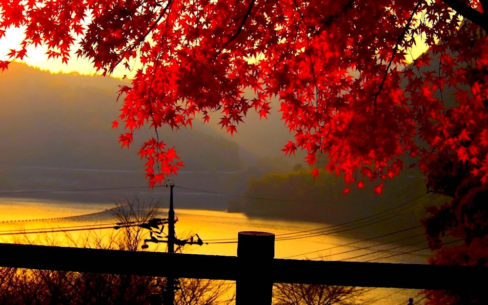 Autumn greetings