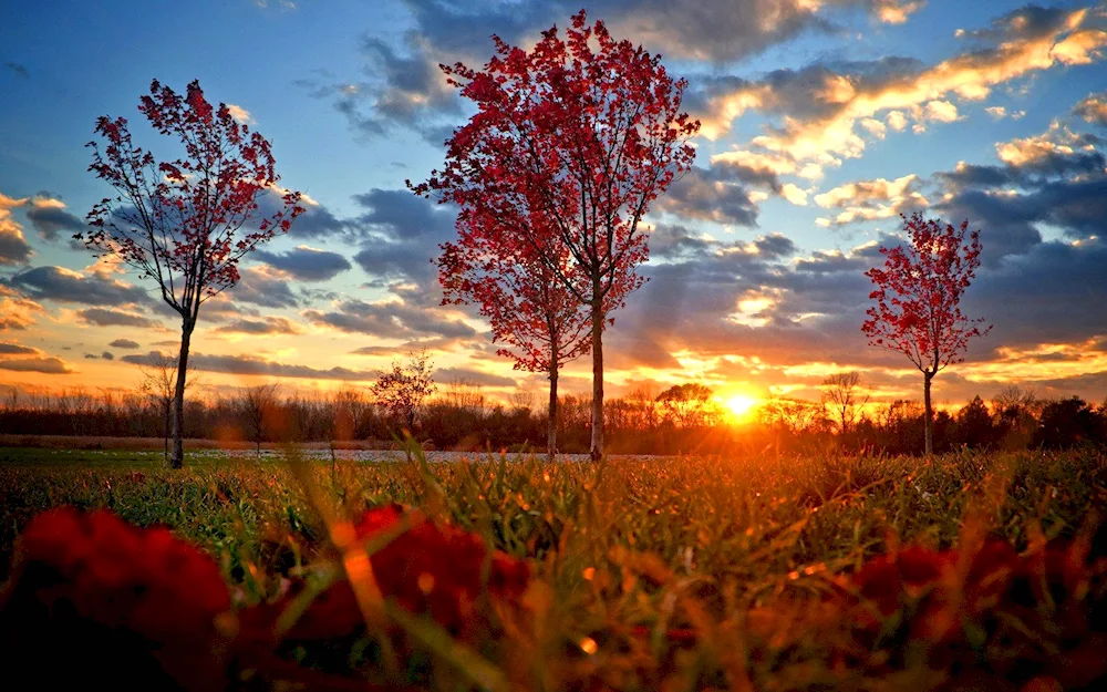 Autumn evening