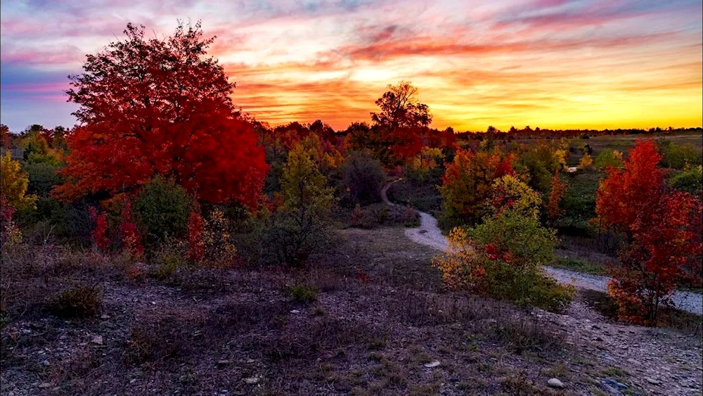 A bench in the park in the evening