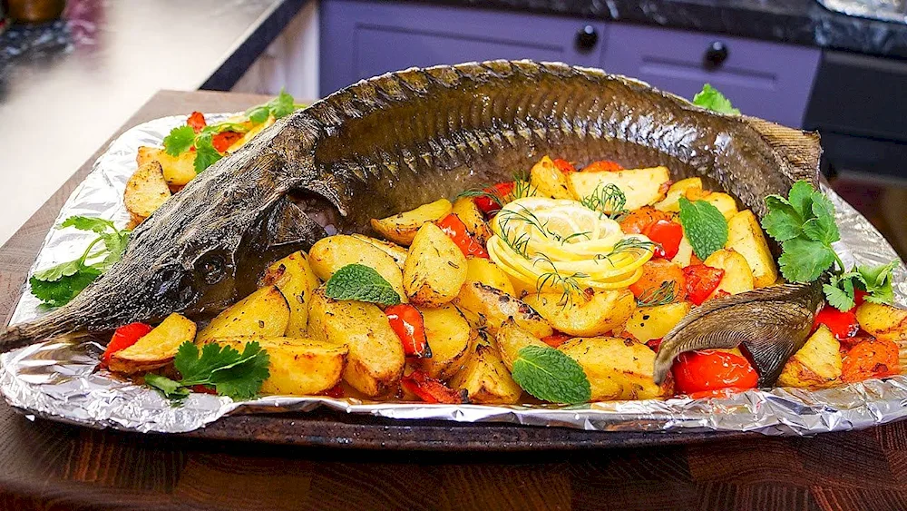 King sturgeon stuffed fish stuffed Sudak pike