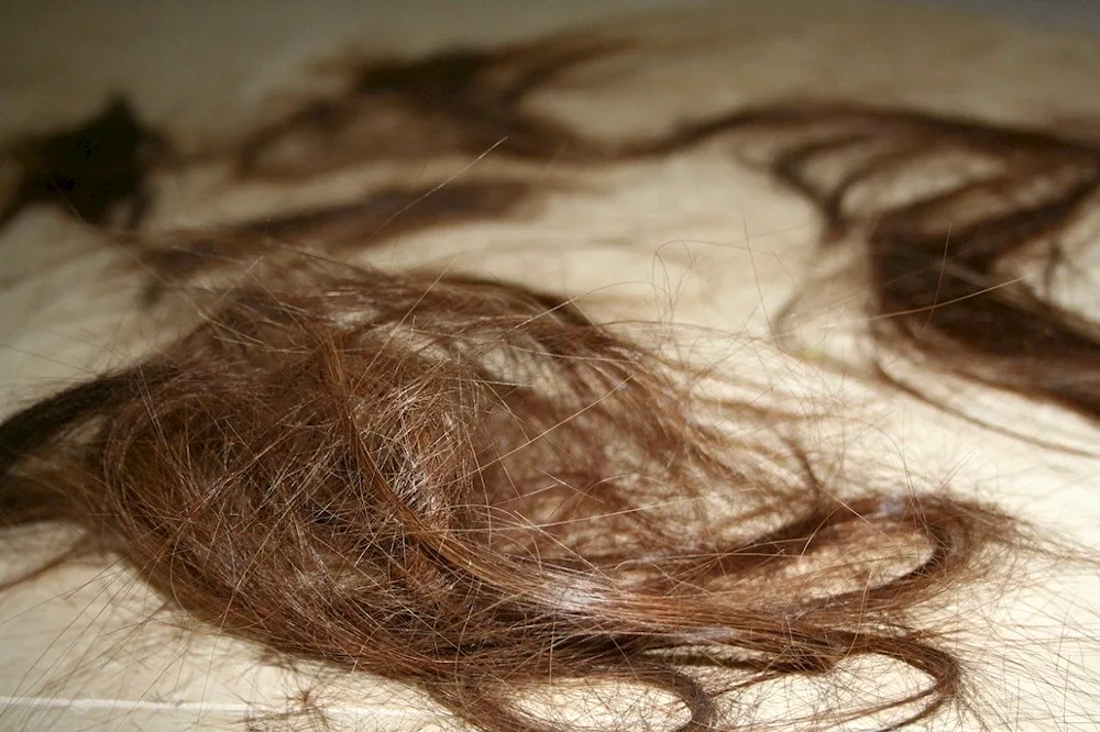 Cut hair on the floor