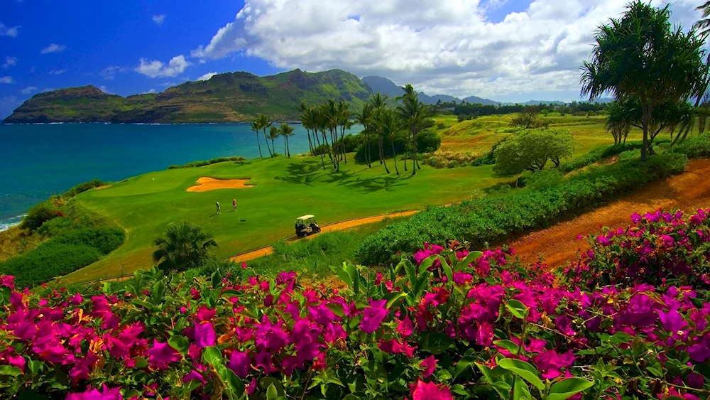 Kauai IslandHawaii Islands