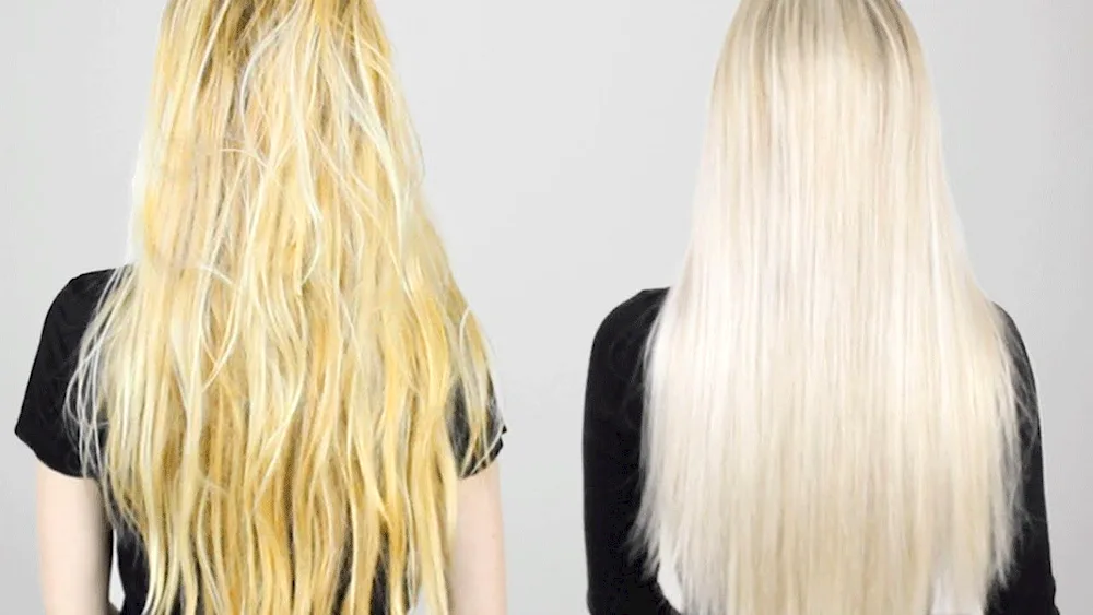 Honey blond Caramel wheat blond