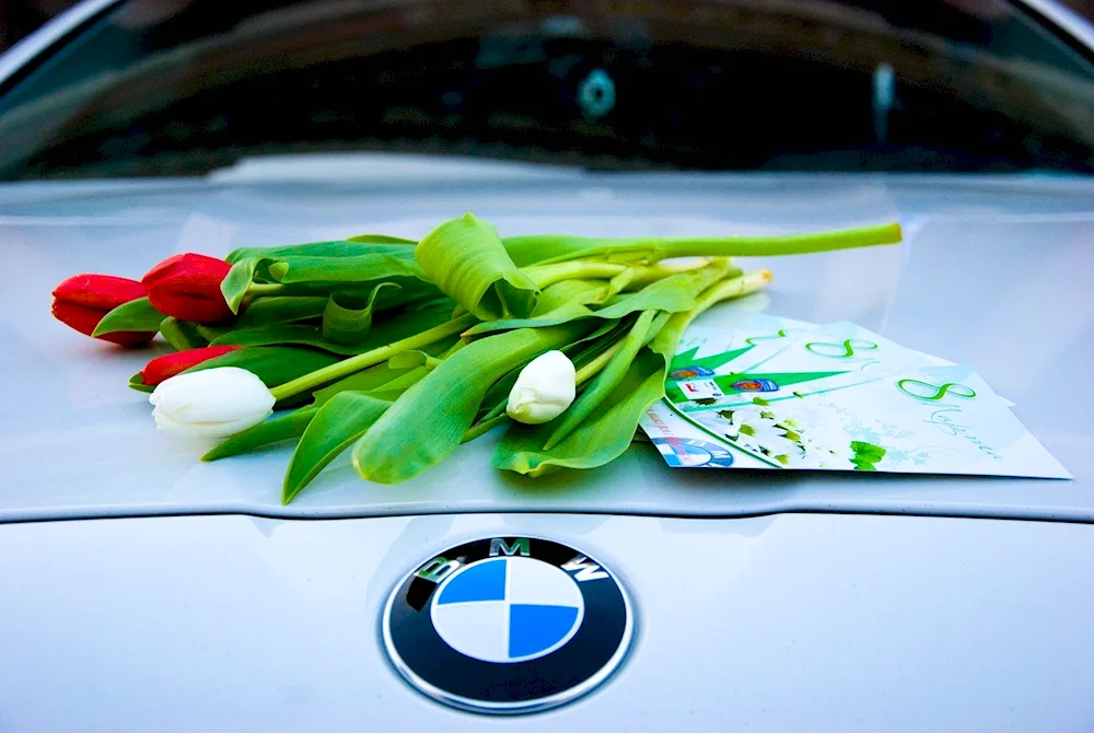 Flowers in the car