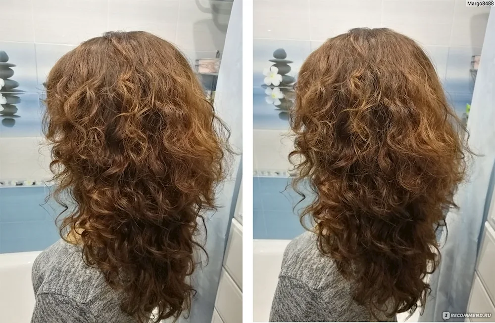 Bio curl