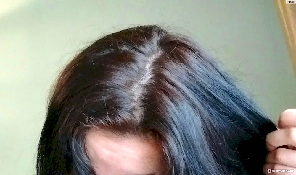 Fading roots and henna