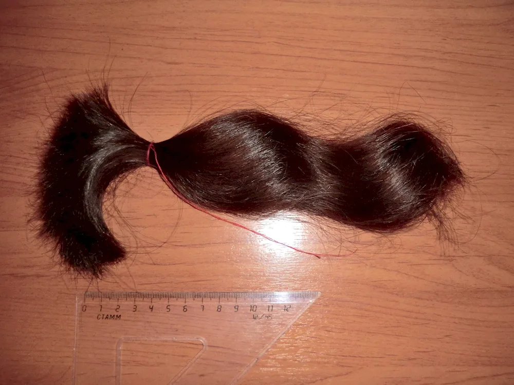 Cut hair on the floor