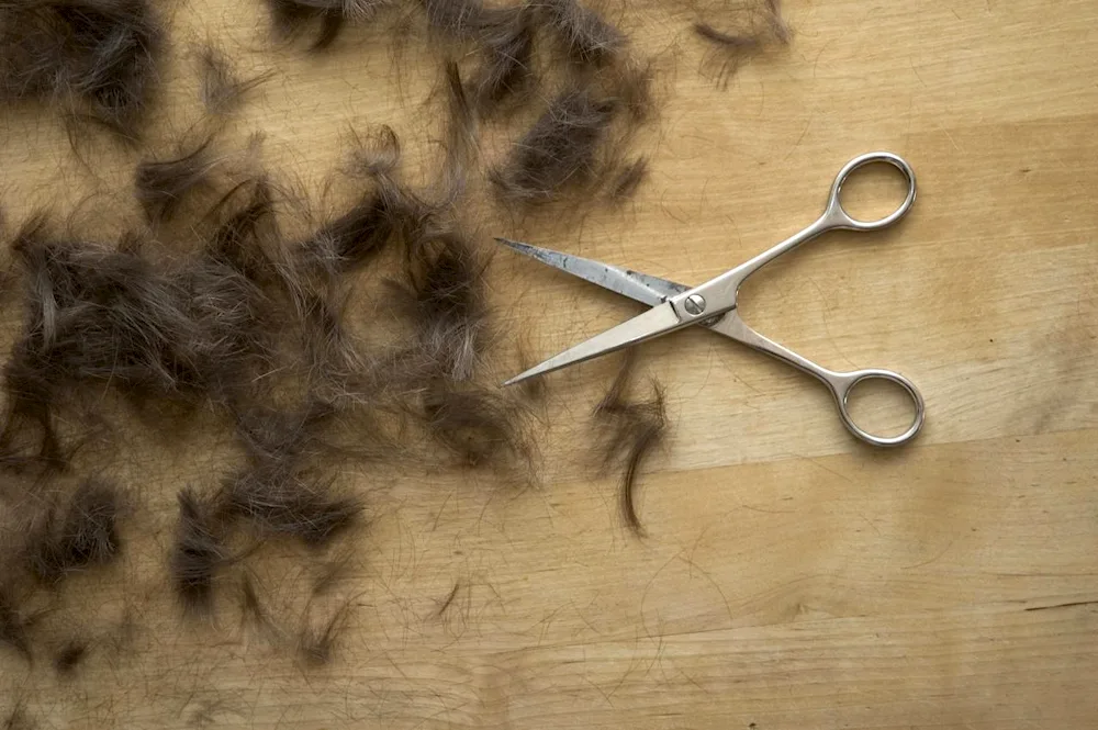 Cut hair on the floor