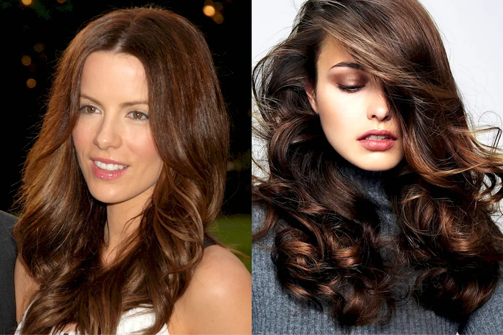 Chocolate hair colour shades